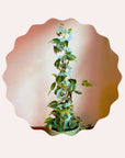 Plant Stake - Boa III XL