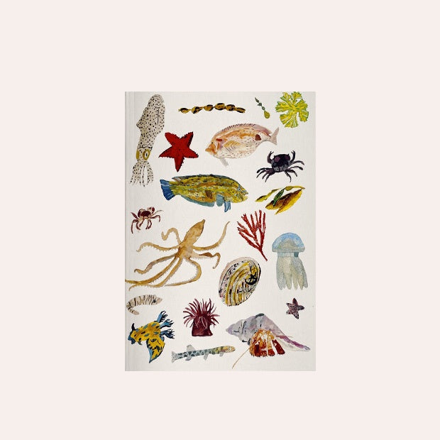 Claire Mosley - Notebook - Sea Life