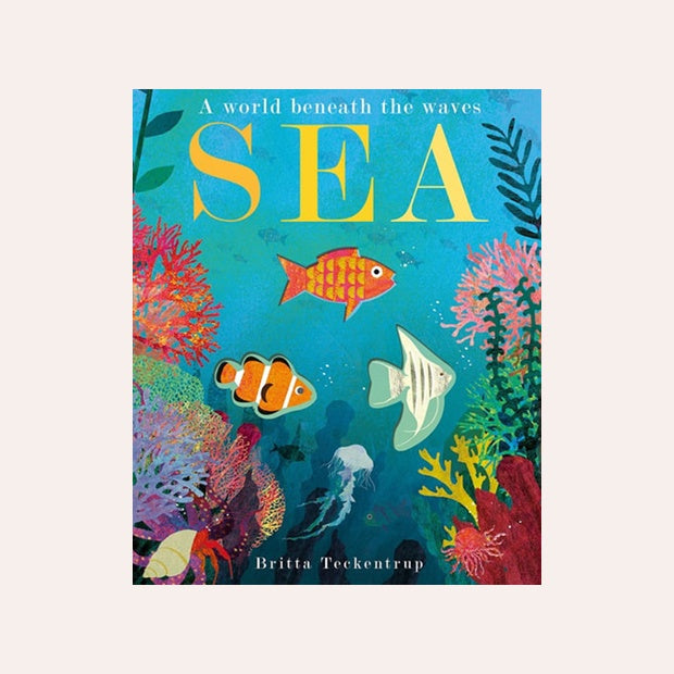 Sea - A world beneath the waves