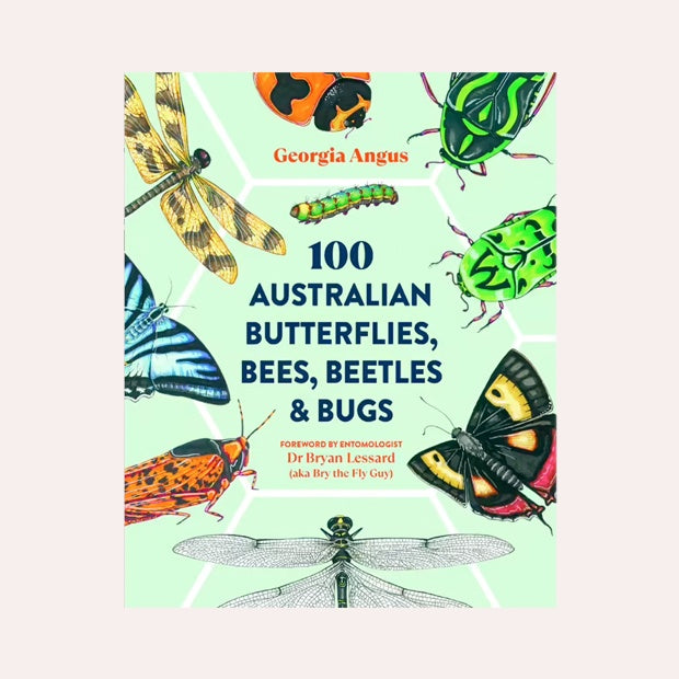 100 Australian Butterflies, Bees, Beetles &amp; Bugs