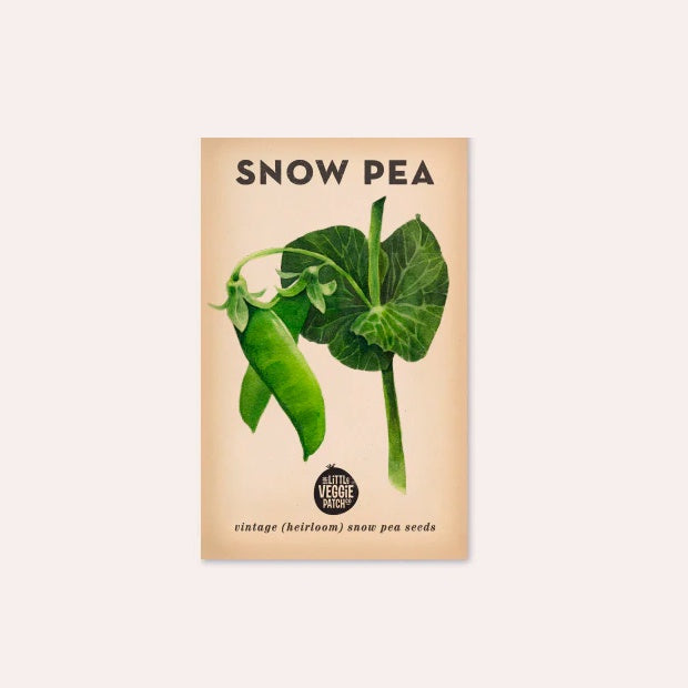 Snow Pea &#39;Oregon&#39; Heirloom Seeds