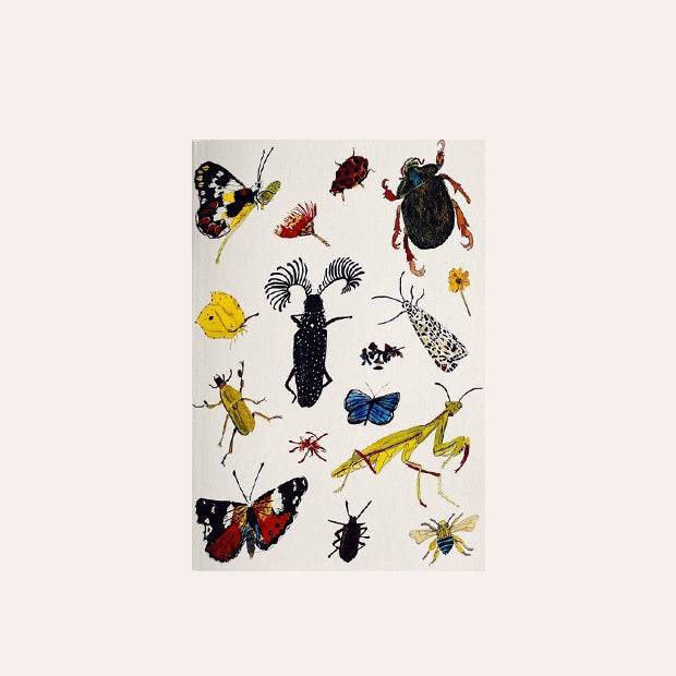 Claire Mosley - Notebook - Bugs