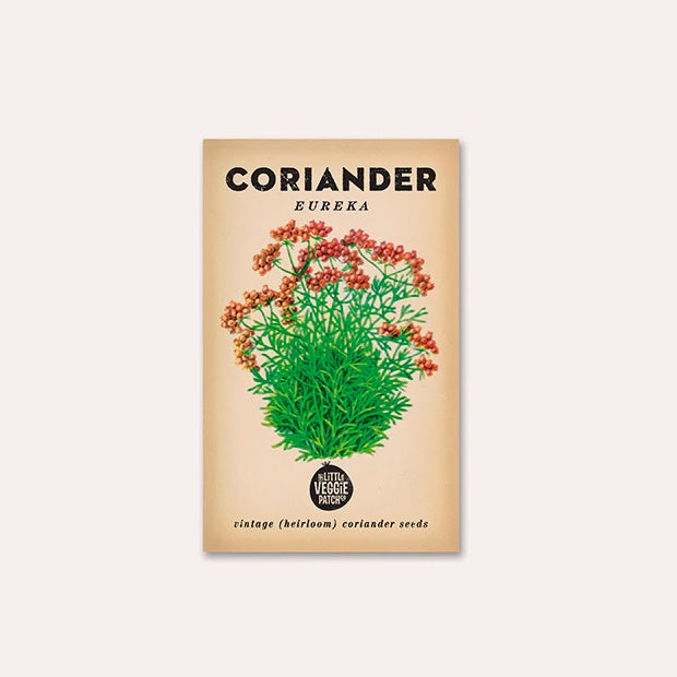 Coriander &#39;Eureka&#39; Heirloom Seeds
