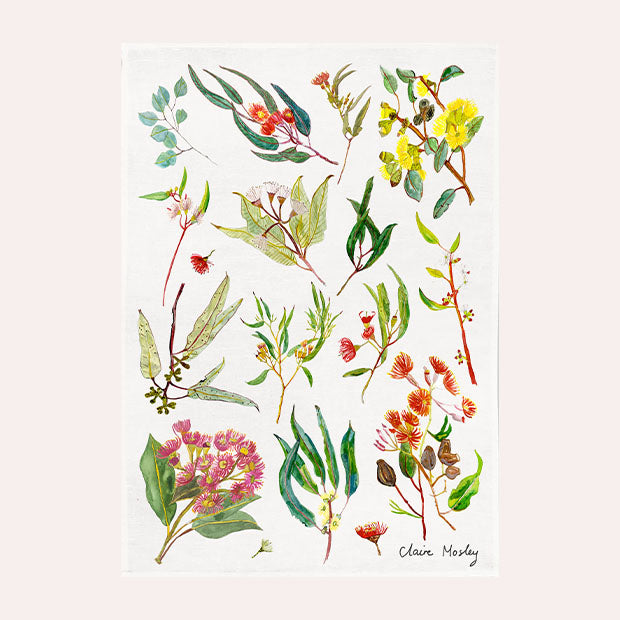 Claire Mosley - Linen Tea Towel - Eucalyptus