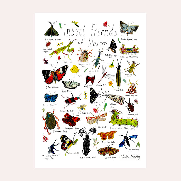 Claire Mosley - Linen Tea Towel - Insects of Naarm