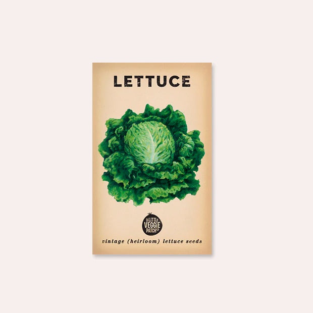 Lettuce  &#39;Boston&#39; Heirloom Seeds