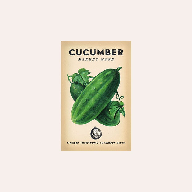 Cucumber &#39;Poinsett&#39; Heirloom Seeds