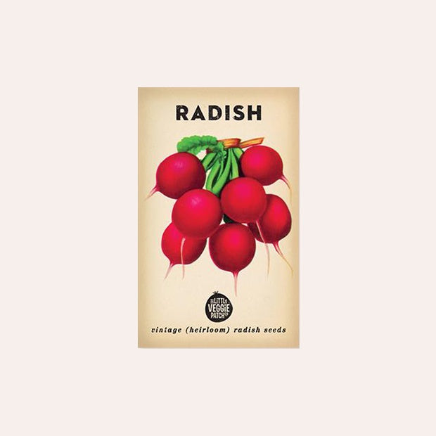 Radish &#39;Cherry Belle&#39; Heirloom Seeds