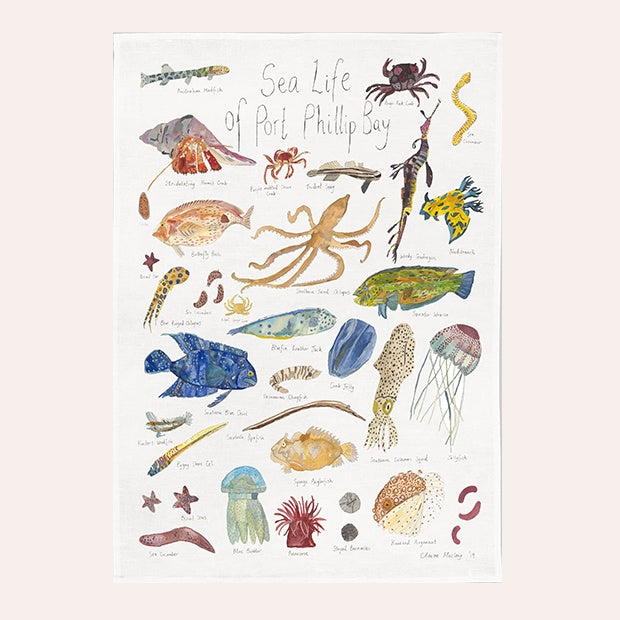 Claire Mosley - Linen Tea Towel - Sea Life of Port Phillip Bay - Off White