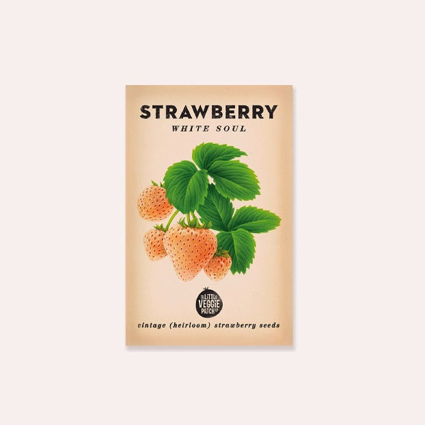 Strawberry &#39;White Soul&#39; Heirloom Seeds