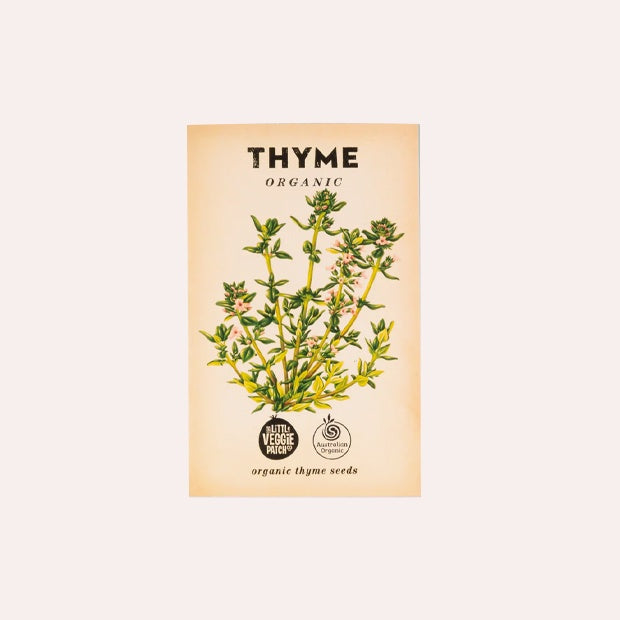 Thyme &#39;Common&#39; Organic Seeds