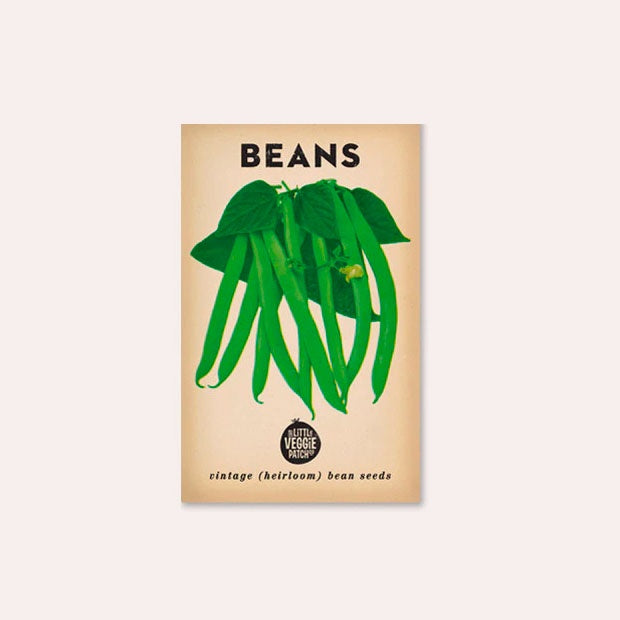 Bean  &#39;Windsor Long Pod&#39; Heirloom Seeds