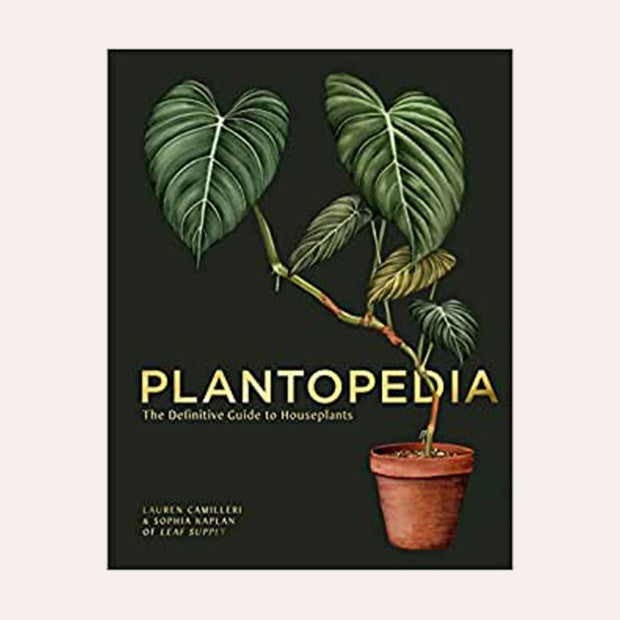 Plantopedia - The Definitive Guide to  House Plants