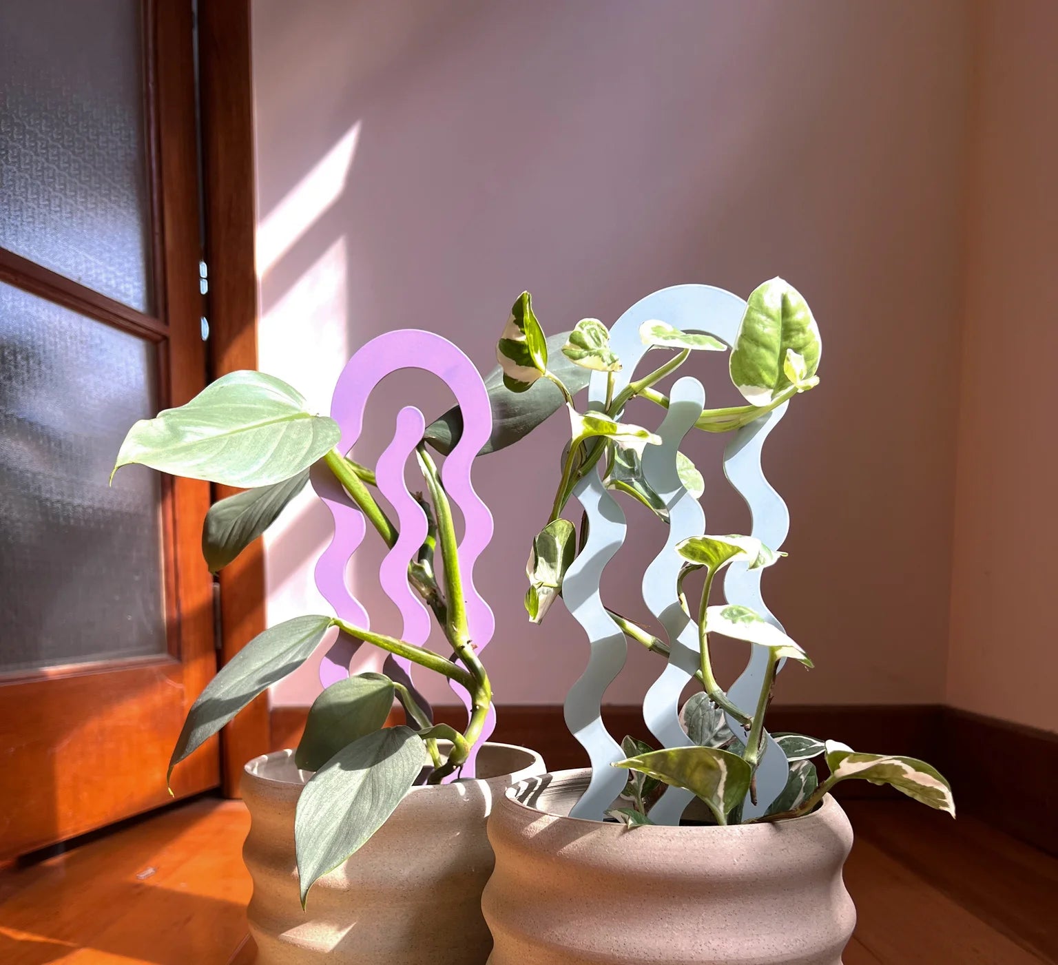Plant Stake - Flo